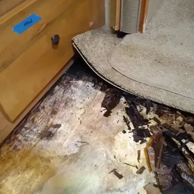 Wood Floor Water Damage in East Pittsburgh, PA